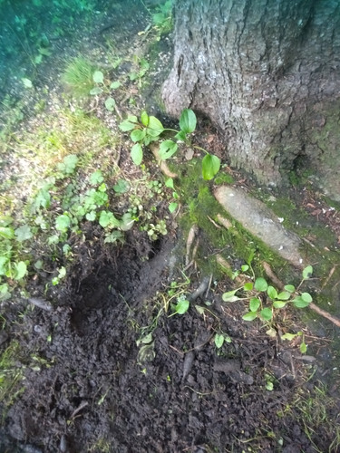 IMG20260901091416.jpg