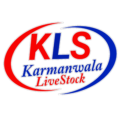 kls logo transparent opt.png