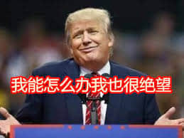 程序员 reaction：特朗普00003 我能怎么办我也很绝望川普川建国