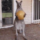 play time is over motherfucker.gif