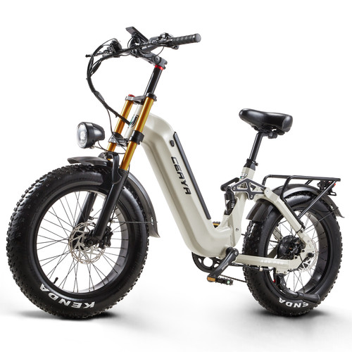 ebike (9).jpg