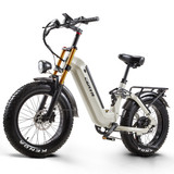 ebike (9)