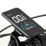 ebike (25)