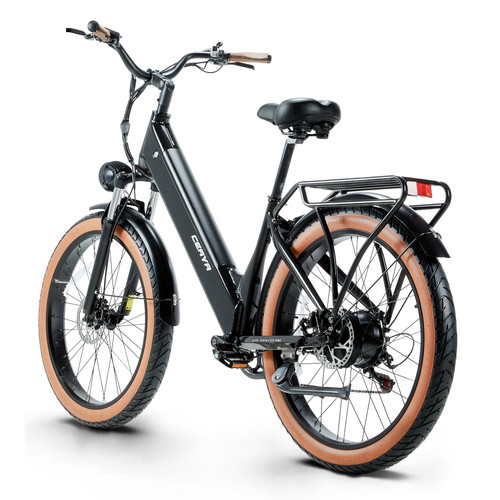 EBIKE (4).jpg