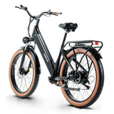 EBIKE (4)