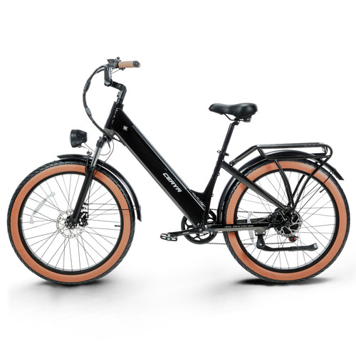 EBIKE (3).jpg