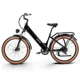 EBIKE (3)