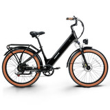EBIKE (1)
