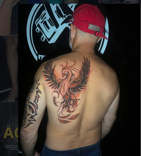 fenix.png