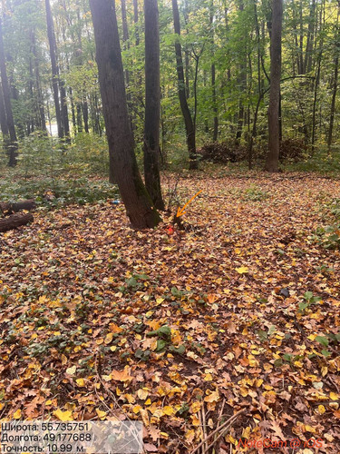 6ab3eb629603f.jpg