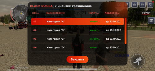 IMG 5649.png