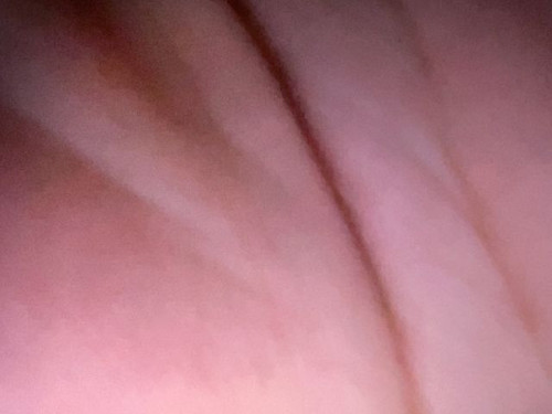 273d5742cf63.jpg