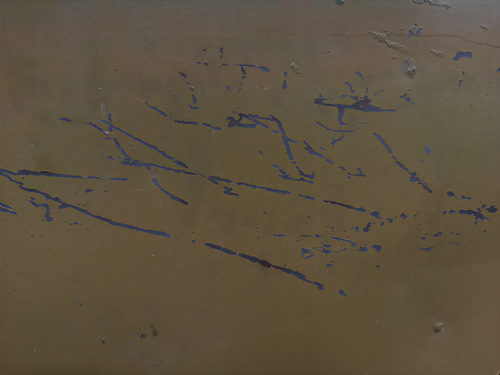 e2cf4fd21366.png