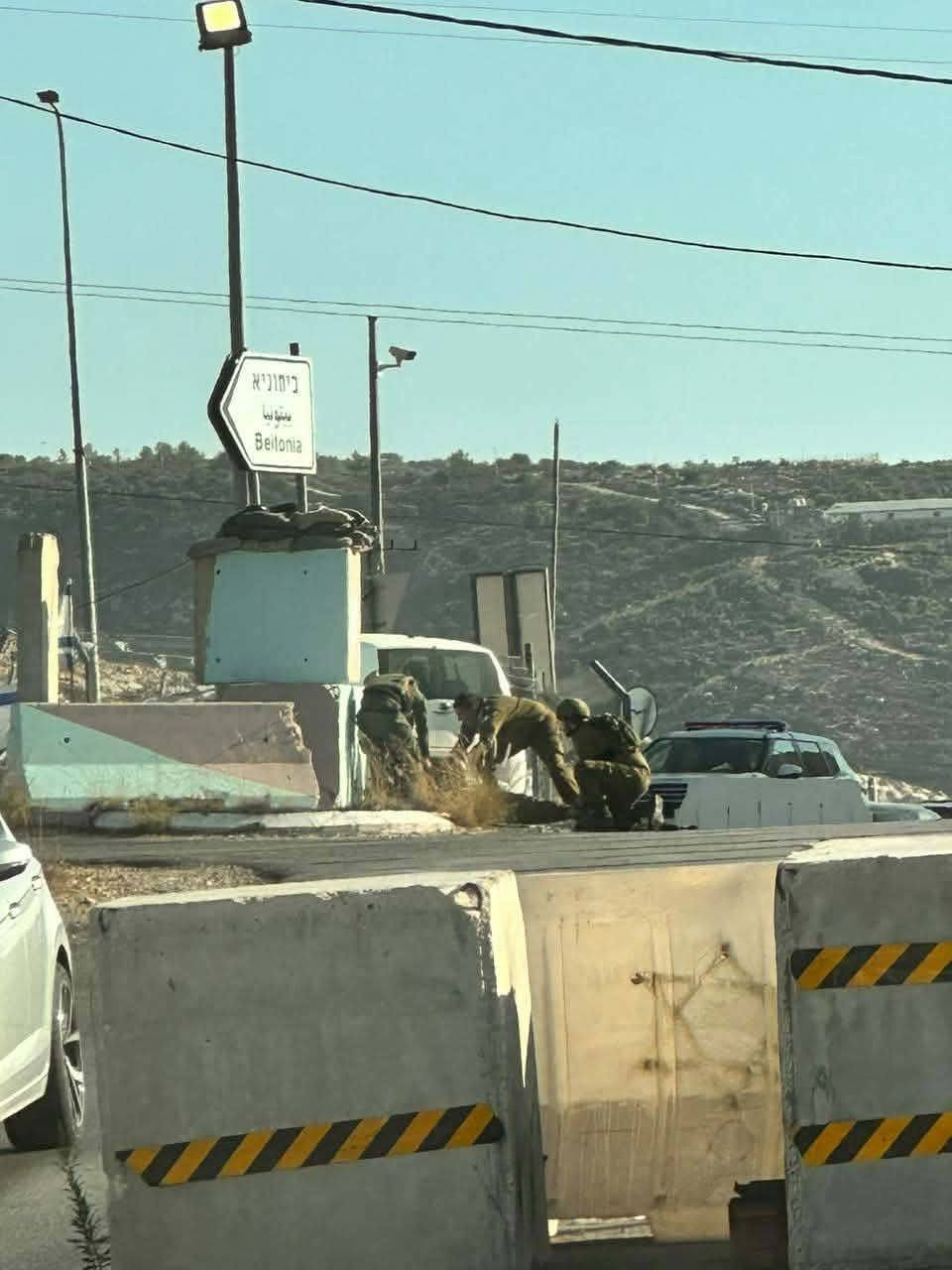 صورة الخبر