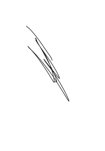 c92928f1093261su672493 20260923155510 333a59a1 5170 4cbe 8036 2d9336e8bf41.png