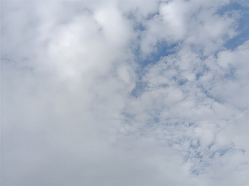 78e29a6740a8.png