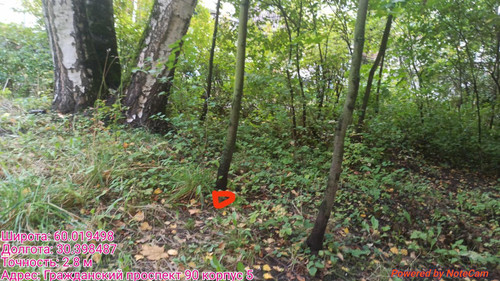 6ab3d7059bb4b.jpg