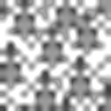 spruce leaves