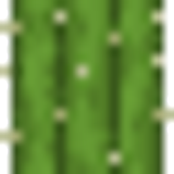 cactus side