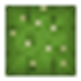 cactus top
