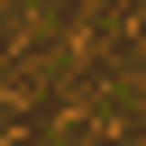 podzol top
