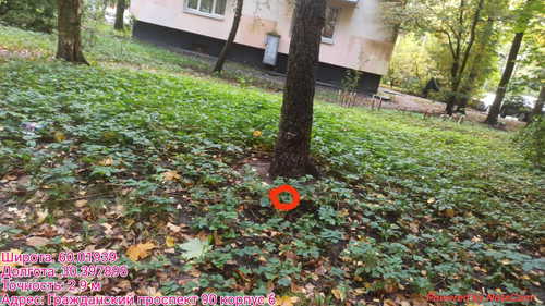6ab3d707130e7.jpg