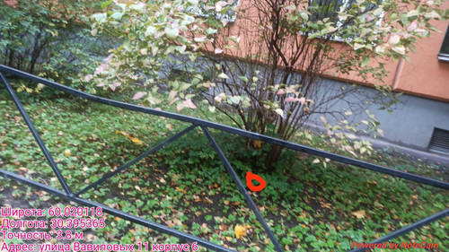 6ab3d80203570.jpg