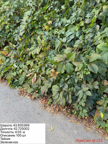 6ab3dc98060bd.jpg