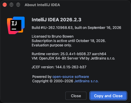 本次开发环境信息，区分 IDE 运行时与项目使用的 JDK