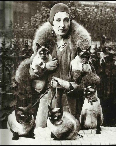 30 Vintage Photos That Show Cats Have Always Had A Special Place In Our Lives 6ab20f5c902ad 700.jpg