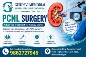 PCNL Surgery for Safe Kidney Stone Removal.jpg