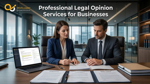 Professional Legal Opinion Services for Businesses.jpg