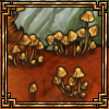 thumb.png