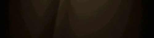Blip Banner.gif