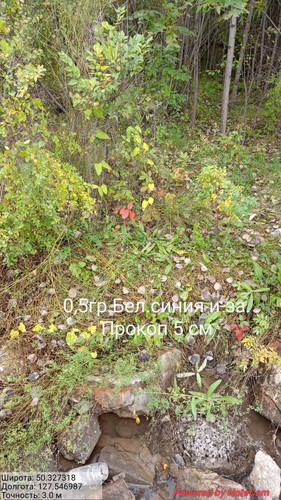 6ab3ca3026839.1