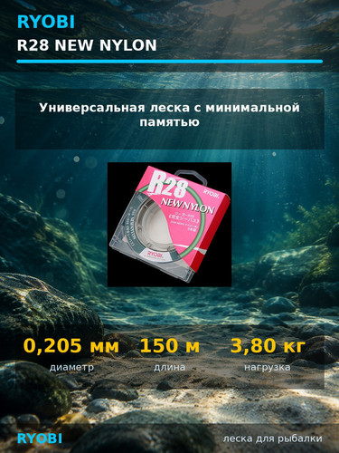 128006.1