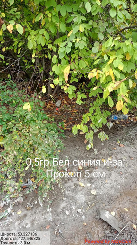 6ab3ca267d5b6.1