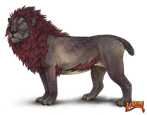 lioden wardrobe (2).png