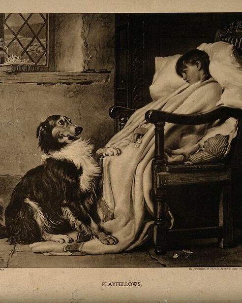 A loyal dog puts his paw on the lap of a sick girl holding f Wellcome V0015127 6ab0a5deb6802 700.jpg