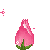 12219.gif