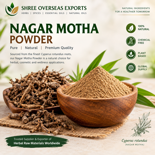 Nagarmotha Powder Wholesale Supplier for Bulk & Private Label Requirements.png
