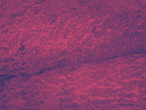 temp.png