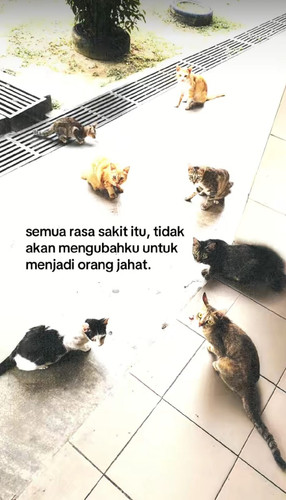jagoanproject remini.jpg