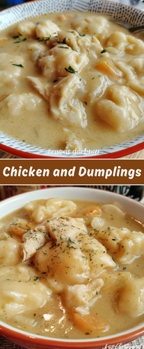 Chicken and Dumplings (2).png