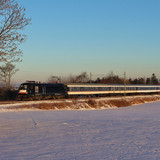 BVNiO