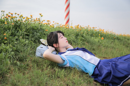 Resize ( 007) 1.1