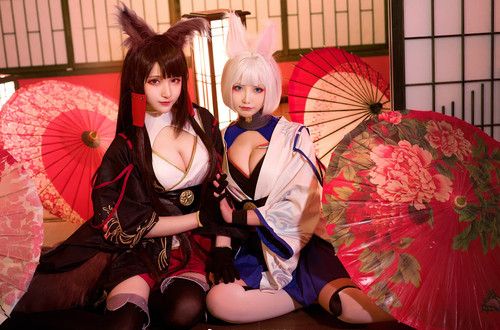 Resize 5 3.1