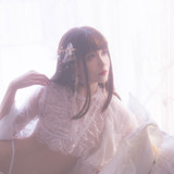 Resize ( 2)