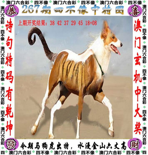 amsbx.jpg