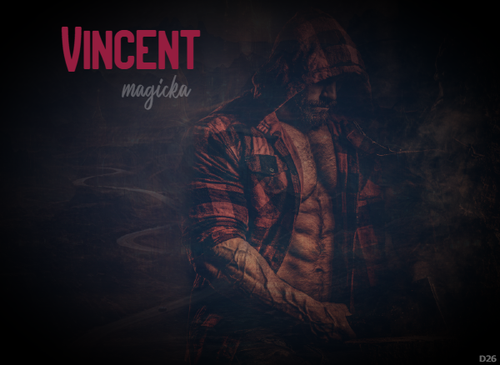 vincent1.png